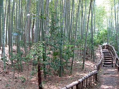 毎日がレビュー 竹林公園の湧水は落合川へ