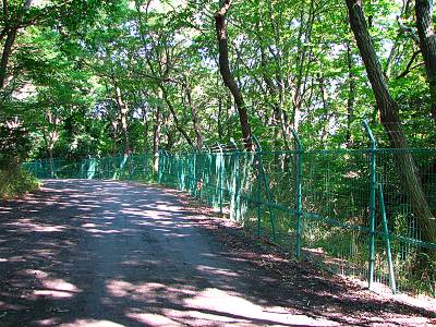 �����г���ƻϩ