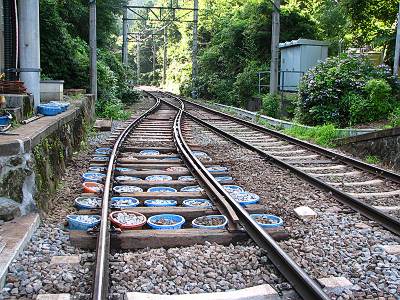 ��Ͱë����ϩ�����Ԥߥ�������κ���