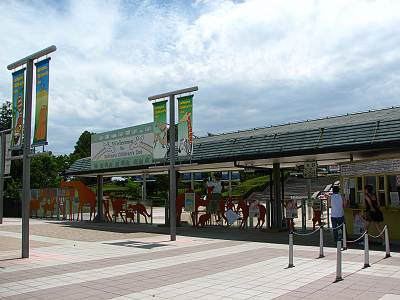 ���ɤ�ưʪ������������