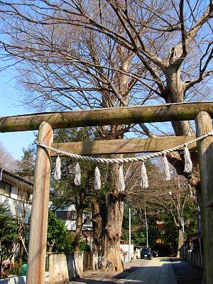 ������ ��������ǰ����礭�����䥭