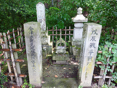 ����������Ϻ����