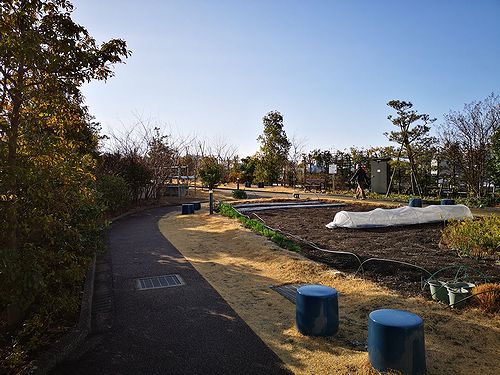目黒天空庭園の畑