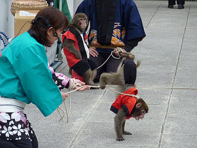 神田明神の猿回し