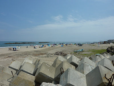 毎日がレビュー 河原子海岸で海水浴 毎日がレビュー 河原子海岸で海水浴