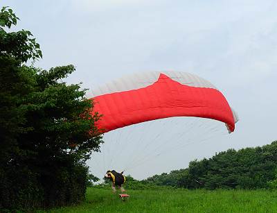 �֥ɥ�ƽ�Υѥ饰�饤����