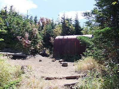 ���ֻ����񥷥��륿���γ���