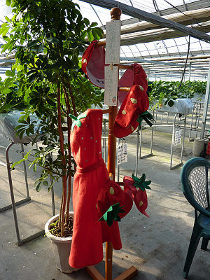 ���������å�(��ǰ������)