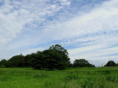 �������̿�������ϤǤ�