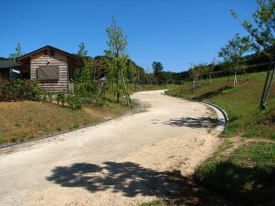 ����������㡼�ѡ���������