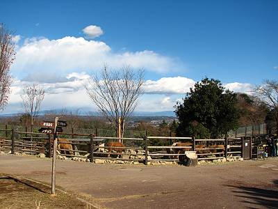 ���ϥ��ե���ѡ�����į�᤬�ɤ��Ǥ�