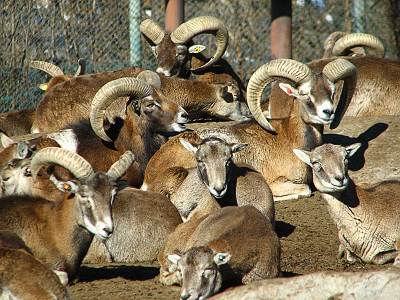 ���ϥ��ե���ѡ���