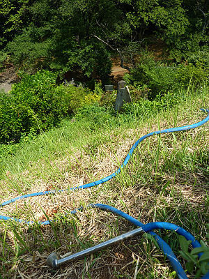 �ٻλ�ĺ��˱�Ӥ�ۡ���