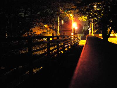 ������������ع����ζ�