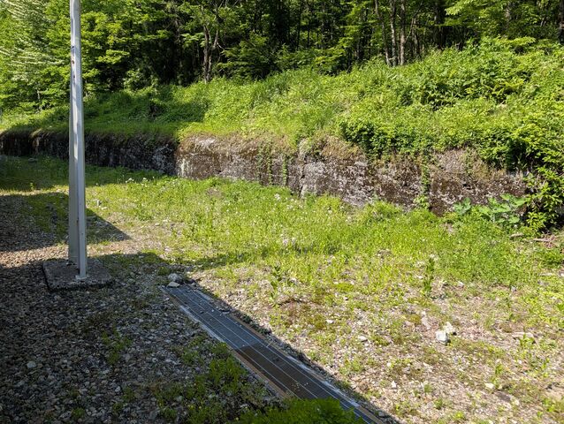 PXL_20260516_053402195
