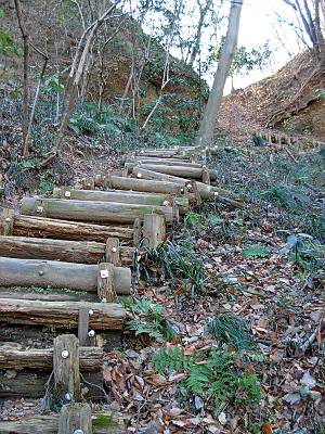 �����ܤλҤɤ�ο����फ����Ф���ϵ���