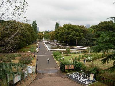 �塹�ڸ���Ÿ˾�ǥå������Ÿ˾