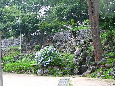 ��ʤѤ����ξ���