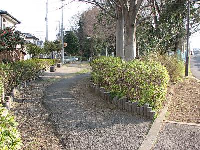 ������ε��ƻ��