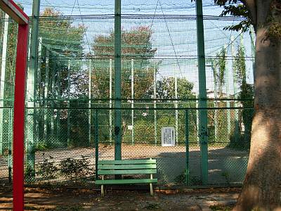 ����������ε嵺��