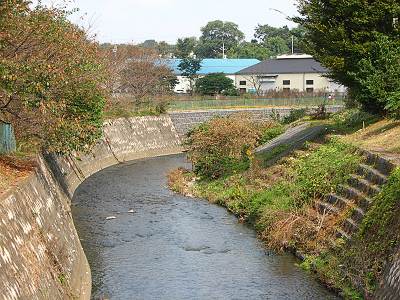 ���ή����