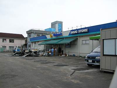 ������ѡ���������