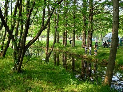 ͤǻҶϤΤӤΤӤȤɤǤ