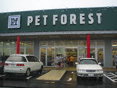 ꡼󥬡ǥPET FOREST(ڥåȥե쥹)