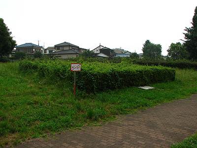 �������������������