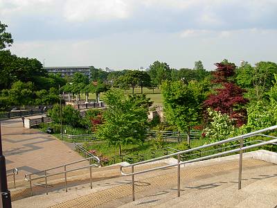 都立武蔵国分寺公園の北側