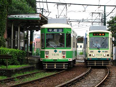 ���Ź����� ���ʥ�ë��