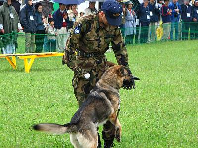 Runway walk 2006 ����������Ÿ��