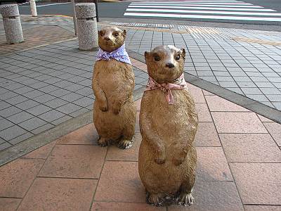 �������̸��Υ�˥����