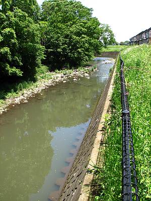 ������ع�����ľ��