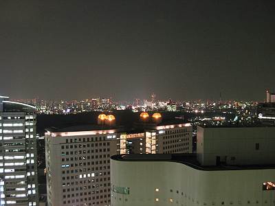 ����NS�ӥ�29F��¦����