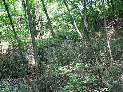 ��������������μ���