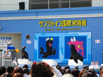 ���󥷥㥤���ݿ�²��