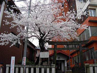 ���ٿ��Ҥκ�