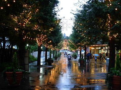 �Ȥ��ޤ�����ž�