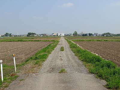 �ٻθ��Ԥ��Ĥ��