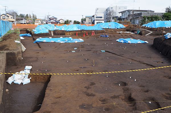 ���Ϥΰ���Ĵ��