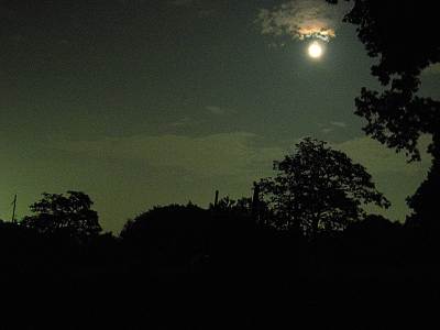 ȷ��ȬȨ���Ҷ᤯���鸫�����