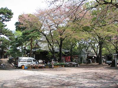 ������Ҷ���