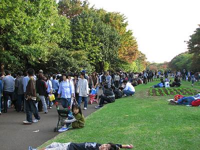 ������̱�ե����ƥ��Х� �ե꡼�ޡ����åȲ��