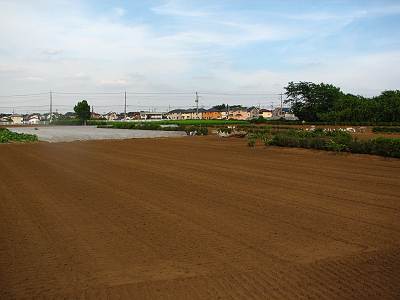 ������Ȫ