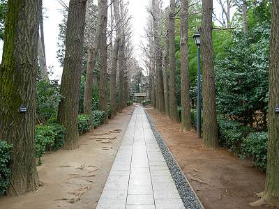 ���Ĺ������������ƻ