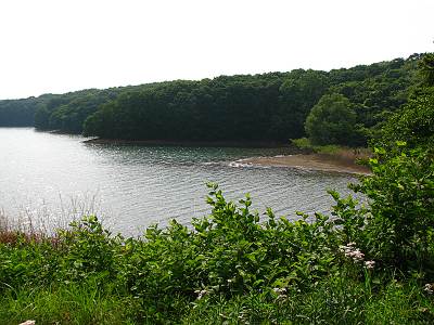 ������������