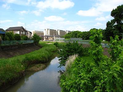 �������ޤ䶶���鲼ή