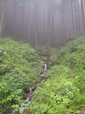 �����ή