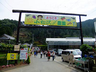 �褦�����������쥸�㡼����